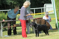 Onyx an der Hundeausstellung in Aarau